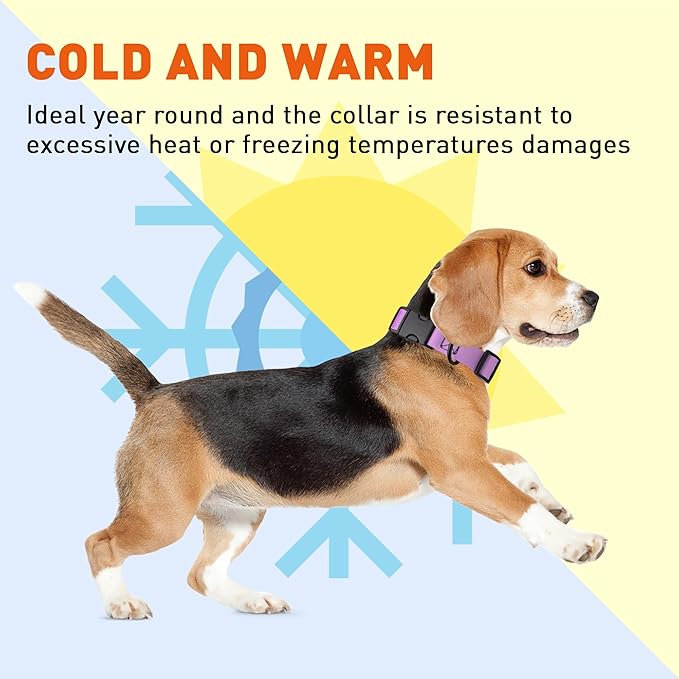 Dogline Biothane Waterproof Dog Collar with Quick Release Buckle Strong Coated Nylon Webbing with Odor- Proof for Easy Care Easy to Clean Fits Small Medium Large Dogs, Amethyst Purple 3/4" W 12-19" L