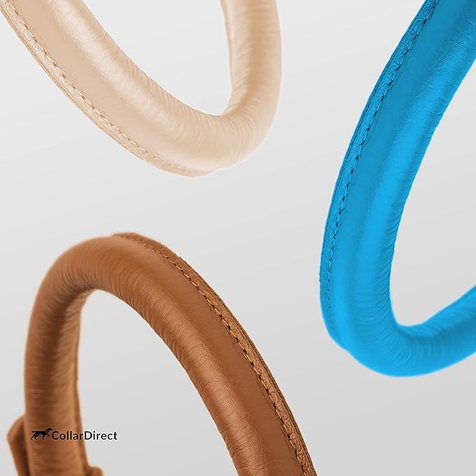 CollarDirect Rolled Leather Dog Collar, Soft Padded Round Puppy Collar, Handmade Genuine Leather Collar Dog Small Large Cat Collars 13 Colors (11-14 Inch, Light Blue Textured)