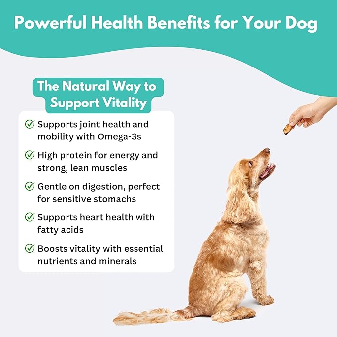 ALFIE'S TREATOS Sardines for Dogs & Cats (10.6 oz, 4x2.65 oz), Bulk Bundle, Air-Dried Fish Dog Treats, Omega-3 Food Topper, Single Ingredient, Australian Wild-Caught, Freeze-Dried Alternative