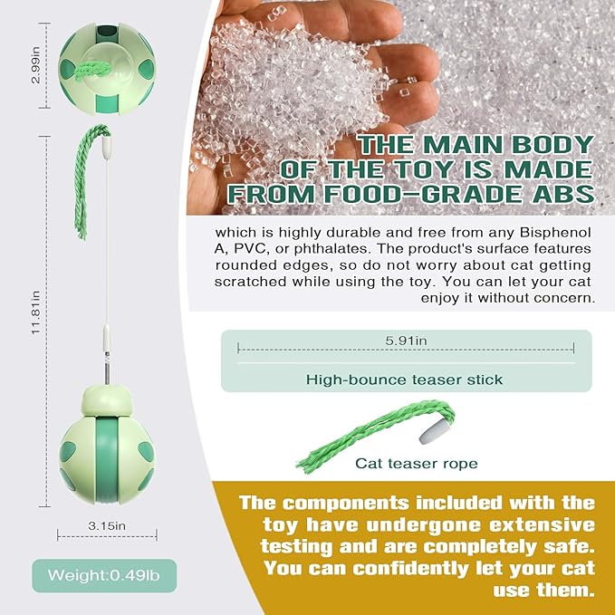 Cat Treat Interactive Toy, Indoor Puzzle Slow Feeding Mental Stimulation Sliding Rolling Cat Toy Ball with Cat Teaser, Cat Treat Dispenser Toy for Large, Medium and Small Cats (Green, ladybug)