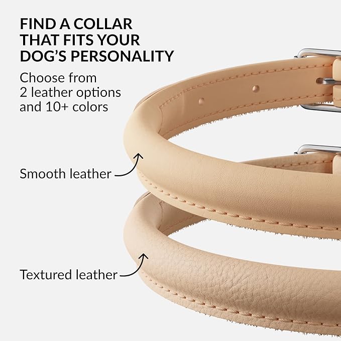 CollarDirect Rolled Leather Dog Collar, Soft Padded Round Puppy Collar, Handmade Genuine Leather Collar Dog Small Large Cat Collars 13 Colors (15-19 Inch, Beige Smooth)