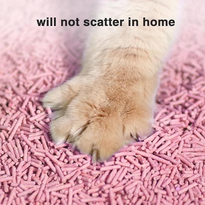 Cat Litter 12LB/2 Packs Dust-Free Clumping Tofu Cat Litter Quickly Absorb Odors Toilet Can Flush Into The Toilet Pure Natural tofu cat Litter (Peach)