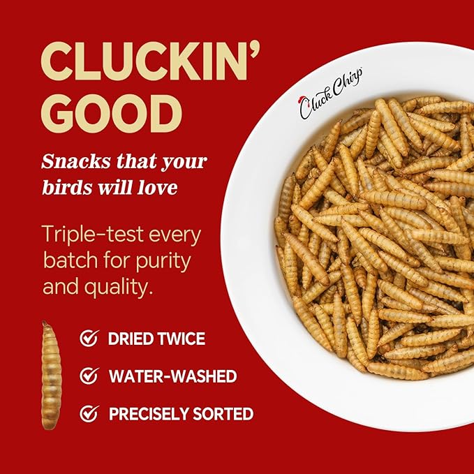 Dried Black Soldier Fly Larvae, Non-GMO, Natural Chicken Treats & High-Protein Poultry Snacks for Backyard Chickens, Laying Hens & Ducks, 2.5 lb Box