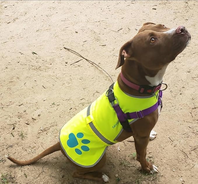 Dog Reflective Vest – Hi-Vis Fluorescent Visibility That Helps to Safeguard Your Pet On/Off Leash in Urban & Rural Areas (Yellow, Large)