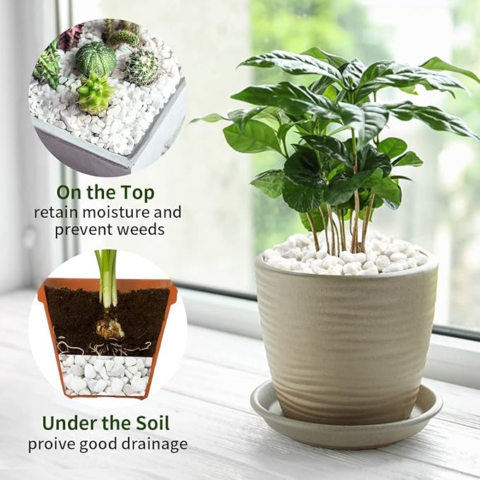 10LB Natural Succulent Gravel Decorative White Rocks - 3/8'' Small White Pebbles for Plants, Decorative Stones, Succulent Rocks Pebbles for Planter, Aquarium Pea Gravel for Landscaping