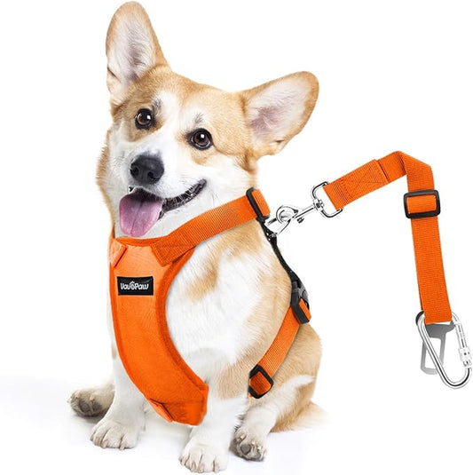 Dog Seat Belt, Safety Vest Dog Car Harness with Adjustable Buckle Dog Seat Belt for Vehicle Nylon Pet Safety Seat Belts Heavy Duty(M, Orange)