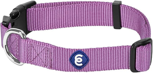 Blueberry Pet Essentials Matching Small Dog Collar | Adjustable Classic Solid Color Nylon Dog Collars for Small Dogs | Purple Dog Collar for Small Dogs