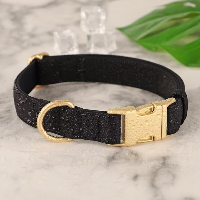 Didog Soft Padded Dog Collars for Medium Dogs, Colorful and Durable Dog Collar with Quick Release Buckle, Light and Breathable for Daily Walking, Black, M