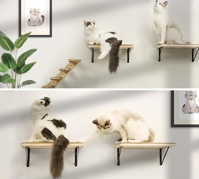 2PCS Cat Wall Shelves with Scratching Mat, 16.6x9.7 Inch Large Cat Wall Hammock Cats Furniture Shelf Window Perch Wall Mounted Beds for Household Pets Sleeping, Playing, Climbing