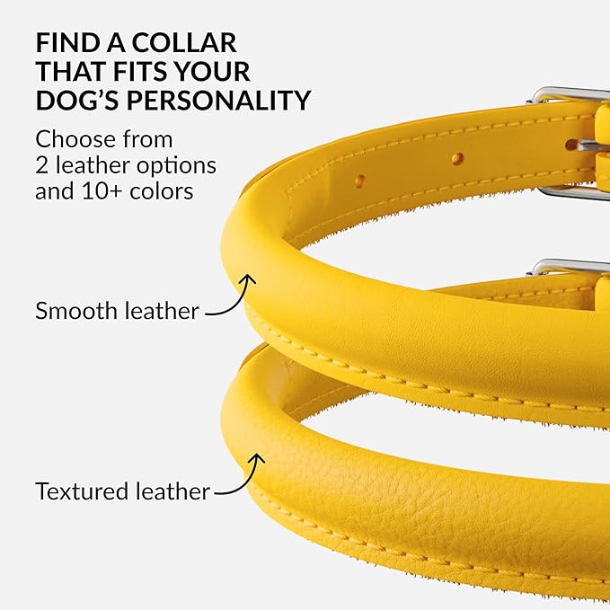 CollarDirect Rolled Leather Dog Collar, Soft Padded Round Puppy Collar, Handmade Genuine Leather Collar Dog Small Large Cat Collars 13 Colors (13-16 Inch, Yellow Smooth)