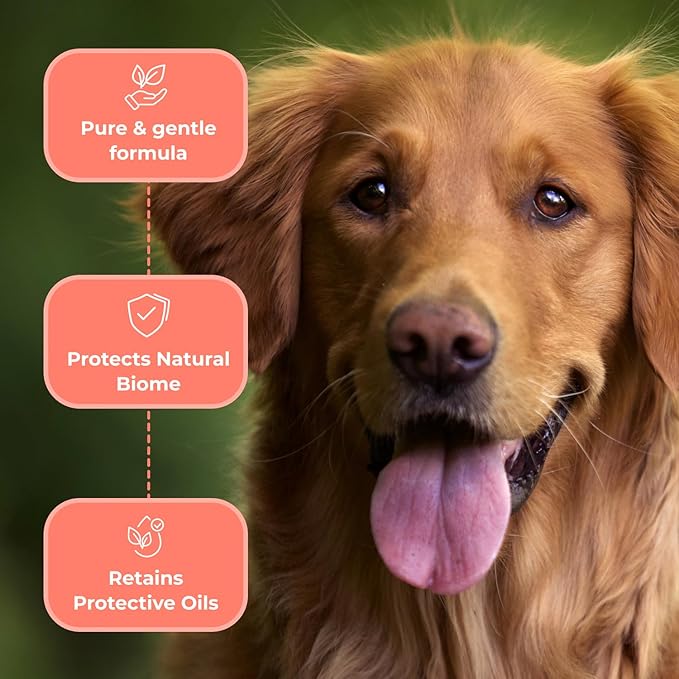 COAT DEFENSE Paw Licker Bundle | Dry Powder for Dogs & Sensitive Skin Dog Shampoo for Allergies and Itching | Smell & Itch Relief | Itchy Skin Relief & Yeast Dog Treatment