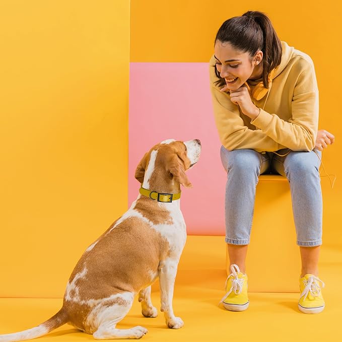 Dogline Biothane Waterproof Dog Collar Strong Coated Nylon Webbing with Black Hardware Odor- Proof for Easy Care Easy to Clean High Performance Fits Small Medium or Large Dogs, Treasure Gold