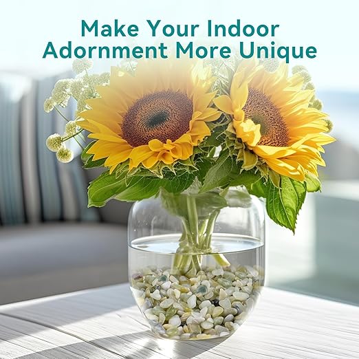 2.5 lbs Jade Pebbles for Indoor Plants, 1/5 Inch Succulent and Cactus Pebbles, Decorative Gravel for Vases, Bamboo,Terrarium, Crafts, Cactus