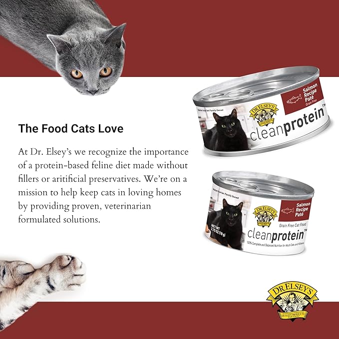 Dr. Elsey's cleanprotein Salmon Recipe Wet Cat Food, Pate 5.3 oz cans (Pack of 24)