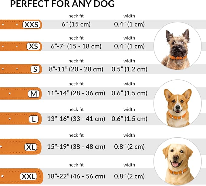 CollarDirect Rolled Leather Dog Collar, Soft Padded Round Puppy Collar, Handmade Genuine Leather Collar Dog Small Large Cat Collars 13 Colors (6 Inch, Orange Smooth)