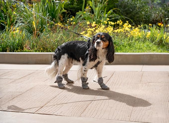 Canada Pooch Dog Boots for Hot Pavement - Dog Boots & Paw Protectors with Anti Slip Rubber | Water Friendly, Breathable Dog Shoes for Hot Days, Great for Dogs Grey - Size 6