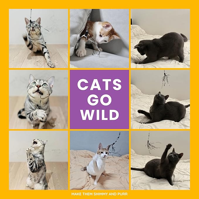 Cat Wand 38" - Retractable Cat String Toy with Spider Teaser and Refill, Perfect Interactive Toy for Indoor Cats and Kittens