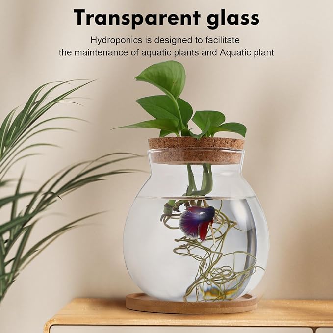 Desktop Fish Bowl Clear Glass Small Betta Fish Tank with Wood Lid and Bamboo Stand Table Hydroponic Plants Terrarium for Home Office Decoration 13 * 14cm