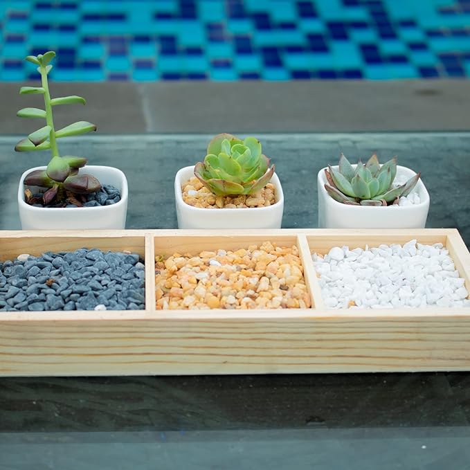 3lb Cactus Pea Gravel Rocks,1/5 Inch Pebbles for Indoor Plants, Natural Succulent Rock and River Rocks Decorative for Aquariums, Vases, Terrarium, Outdoor Gardening, Top Dressing for Potted Plants