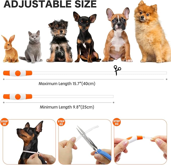 BSEEN Light Up Dog Collar - Rainproof LED Dog Collar Rechargeable - TPU Cuttable Glowing Pet Collar for Small Puppies& Cats, Safety Dog Lights for Night Walking& Camping (XS- Orange 40cm)