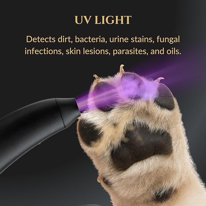 3-in-1 Dog Nail Trimmers and Pet Nail Clippers - Professional Grade with Stainless Steel Blades, LED & UV Light, and Nail Filer for Safety & Precise Toenail Pet Grooming - S to M Dogs