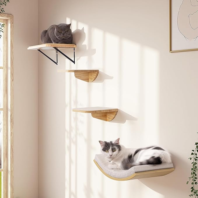 Cat Wall Shelves and Cats Window Perch – Natural Wood 4-Piece Set with Foam-Padded Curved Bed and Felt Steps, Space-Saving Wall Mounted Design