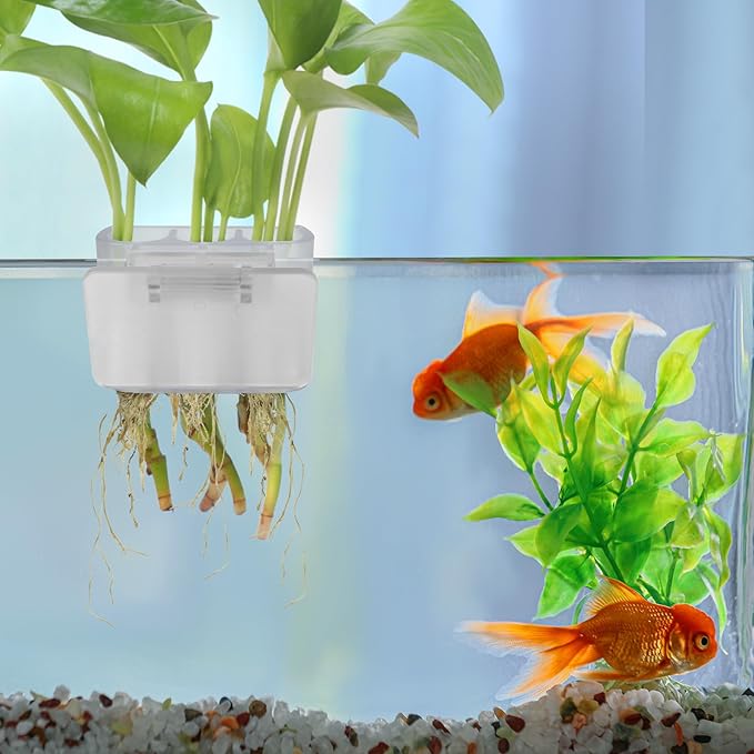 3 Holes Upgraded Aquatic Plant Cup Aquarium Plant Holder for Tank,Hanging Aquarium Plant Holder,Aquarium Aquatic Plant Cultivation,Aquarium Plant Decoration. (White 4PCS)