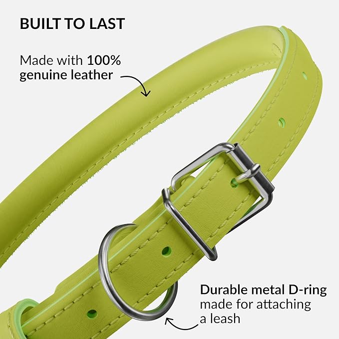 CollarDirect Rolled Leather Dog Collar, Soft Padded Round Puppy Collar, Handmade Genuine Leather Collar Dog Small Large Cat Collars 13 Colors (18-22 Inch, Lime Green Smooth)