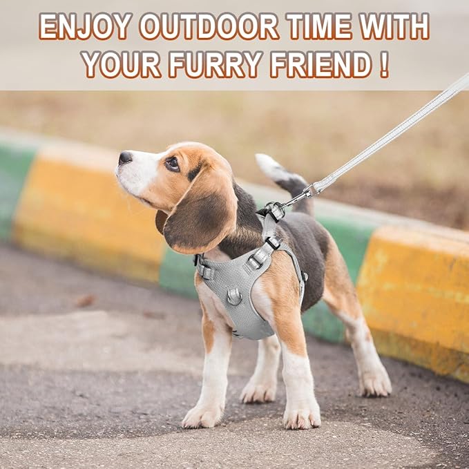 Dog Harness Step in Dog Vest Harness, Reflective Adjustable Puppy No Pull Harness Breathable Soft for Small and Medium Dogs Cats, Grey, S