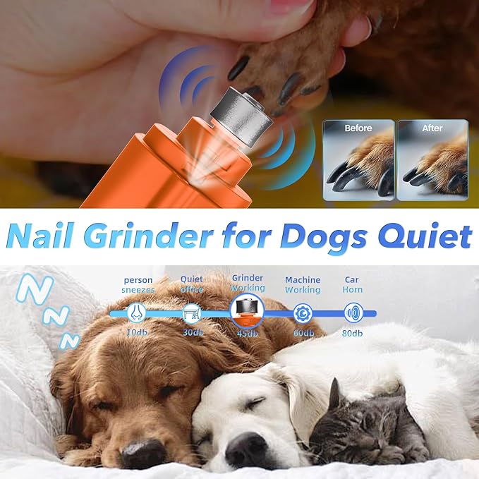 2 in 1 Dog Nail Clippers and Grinder with Lights & Cat Nail Clipper for Large Medium Small Dogs Cats Nail Trimmers USB Rechargeable with 2 LED Lights Dog Claw Care for Non-Black Nails