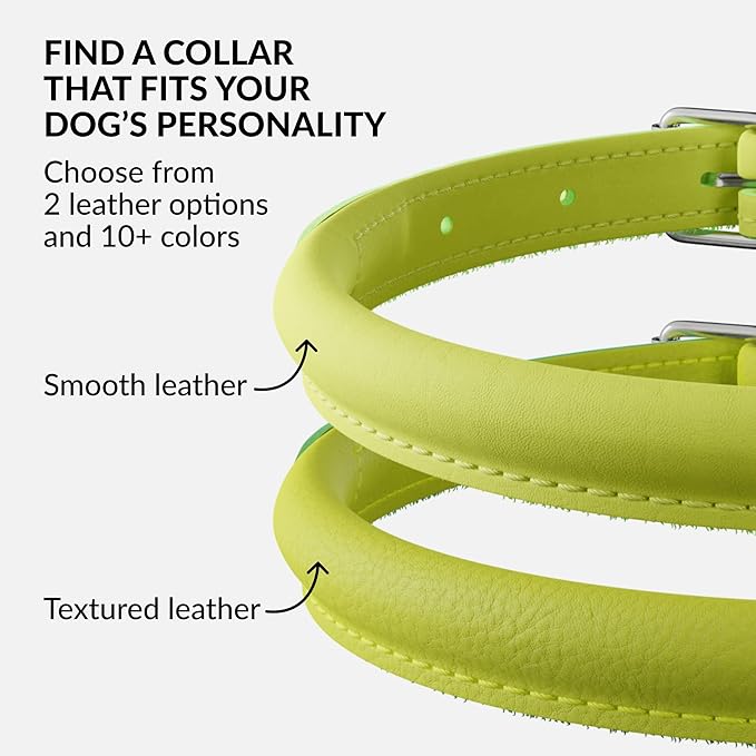CollarDirect Rolled Leather Dog Collar, Soft Padded Round Puppy Collar, Handmade Genuine Leather Collar Dog Small Large Cat Collars 13 Colors (15-19 Inch, Lime Green Smooth)