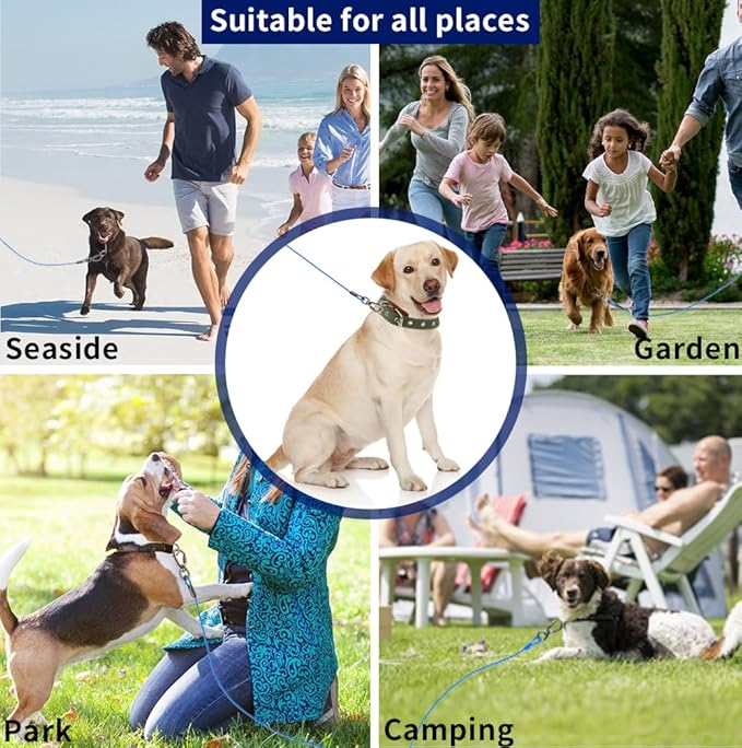 Dog Tie Out Cable, 50FT, Blue, Suitable for Dogs up to 350 pounds, Lightweight, Non-Winding, for Outdoor Use