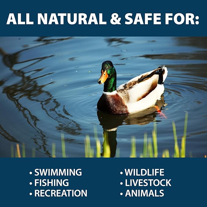 Airmax PondClear Packets, Beneficial Bacteria & Enzyme Clarifier Treatment with Ecoboost PRx, Clear & Clean Pond & Lake Water, Safe for Fish, 12-Count