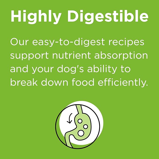 BIXBI Rawbble Dry Dog Food, Pork, 4 lbs - USA Made with Fresh Meat - No Meat Meal & No Corn, Soy or Wheat - Freeze Dried Raw Coated Dog Food - Minimally Processed for Superior Digestibility