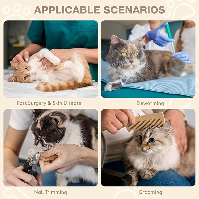 Avont Cat Cone Collar Soft to Stop Licking, Adjustable Foldable Lightweight Kitten Recovery Collar After Surgery for Small Dogs, Elizabeth Cone of Shame Alternative -Orange(S)