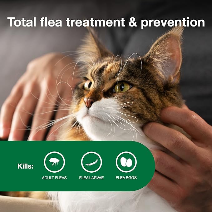 Advantage II Large Cat Vet-Recommended Flea Treatment & Prevention | Cats Over 9 lbs. | 2-Month Supply
