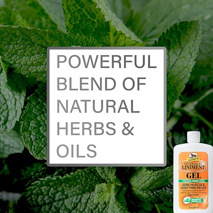 Absorbine Veterinary Liniment Gel, Topical Menthol Analgesic Rub for Sore Muscle, Joint & Arthritis Pain Relief, 12oz Bottle 2-Pack