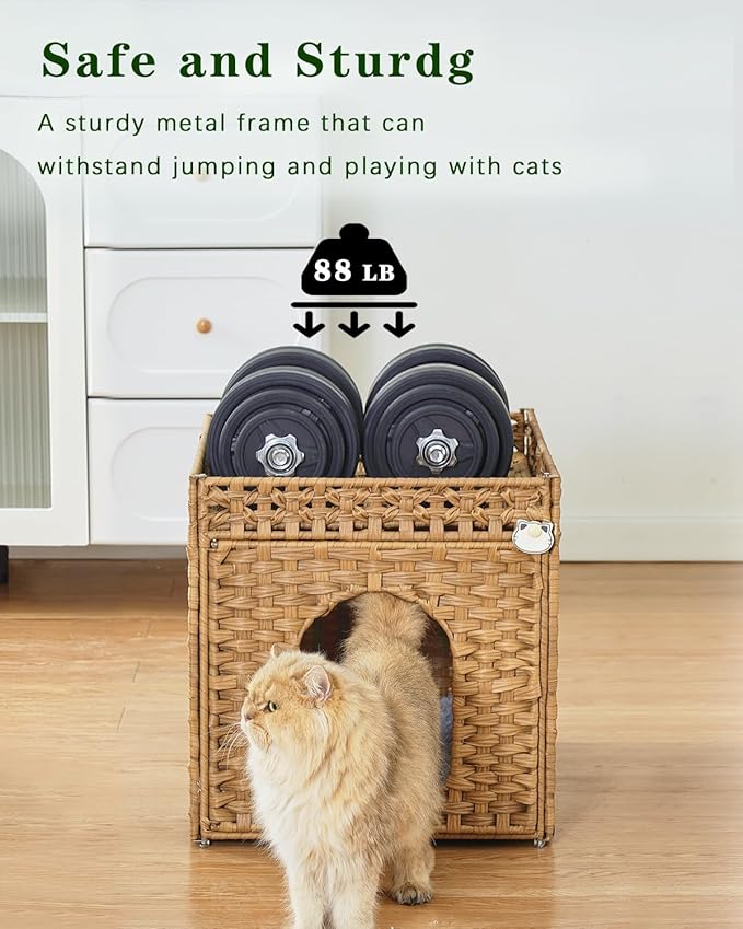 Cat Beds for Indoor Cats Extra Large Double Cat Cave Pet Cube, Handwoven Rattan Cat Houses with Double-Sided Soft Cushions, 18.5 x 20.5 x 19.1 Inches Foldable Hideaway in Living Room Natural