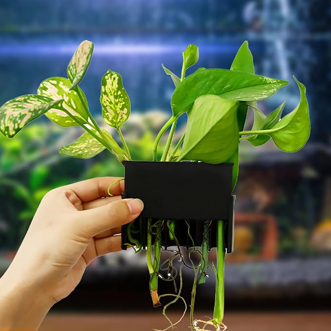 Aquarium Plant Holder for Rimmed Tank, Aquarium Hanging Plant Holder, Plastic Aquatic Plant Pot with 5 Hole, Fish Tank Decorations for Aquatic Plants, 0.5 inch