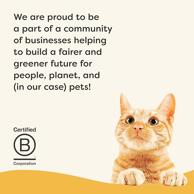 Applaws Vitality Wet Cat Food Paté, Natural Canned Cat Food, Wet Food for Cats with Added Vitamins and Minerals, Grain Free, Carrageenan Free, Chicken Breast Recipe (24 Count, 2.47 oz Cans)