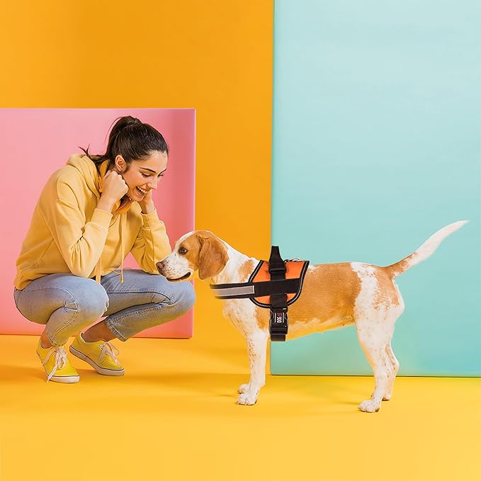 Dogline Dog Harness, Reflective No-Pull Adjustable Vest with Handle for Walking, Training, Breathable, No - Choke Harness for Small, Medium or Large Dogs Room for Patches Girth 33"-46" in Orange