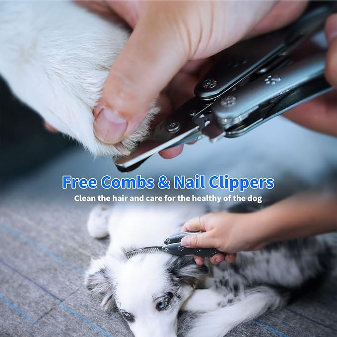 Best Dog Nail Trimmers for Anxiety Sensitive Dogs, Quiet Sharpest Smoothest Nail Clippers for Large Dog Medium Small, Professional Stainless Steel with Nail File & Comb, Left-Handed Friendly