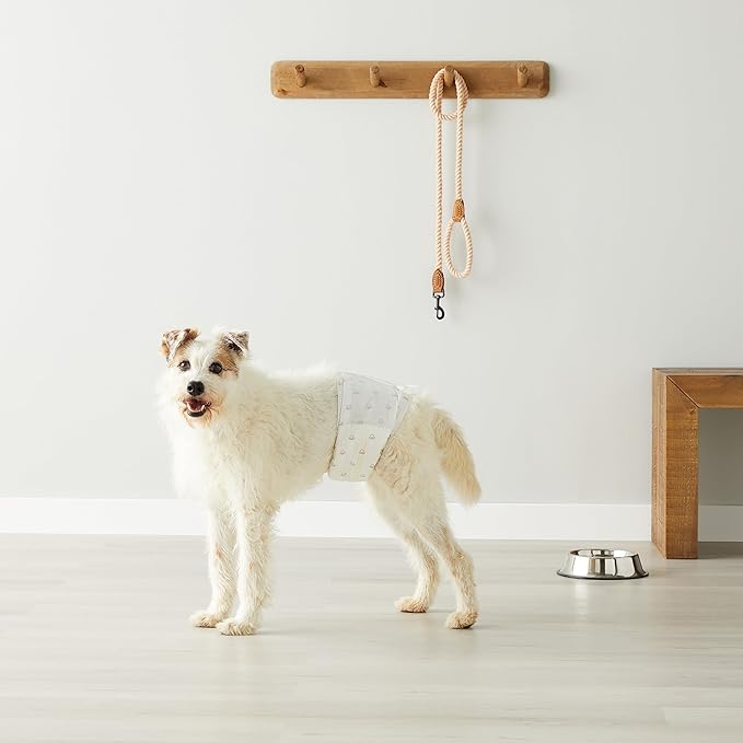 Amazon Basics Male Dog Diapers, 50 Count, Medium, Ultra Absorbent Disposable Wrap with Secure Fit, Leakproof and Comfortable