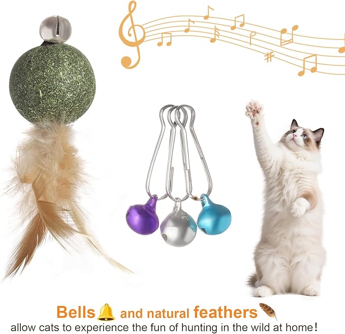 Cat Feather Toys with Catnip Ball, Feathers & Bell - 2 Replaceable Mouse Heads, Elastic Rope & Wooden Handle for Aggressive Kittens, Durable Bite-Proof Interactive Cat Teaser for Indoor Play