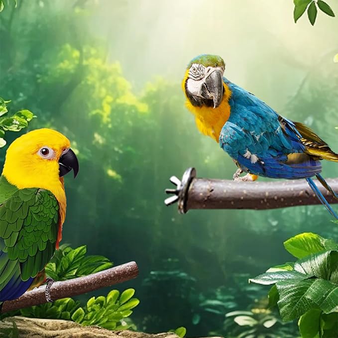Allazone 10 PCS Natural Parrot Perch Bird Cage Accessories, Bird Platforms, Wood Stands, Grinding Fork Parakeet Platform for Small Lovebirds Budgies Cockatiels