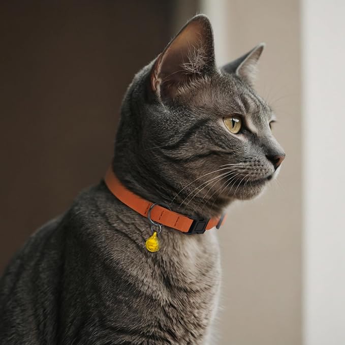 Breakaway Cat Collar Leather with Removable Bell - 13 Colors Available - Soft Adjustable Girl Boy Safety Lightweight Pet Kitten Collars Pink Brown Blue Green Red Orange Black (Orange)