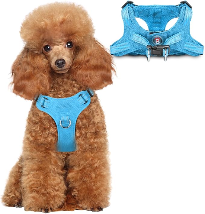 Dog Harness Step in Dog Vest Harness, Reflective Adjustable Puppy No Pull Harness Breathable Soft for Small and Medium Dogs Cats, Blue, XS