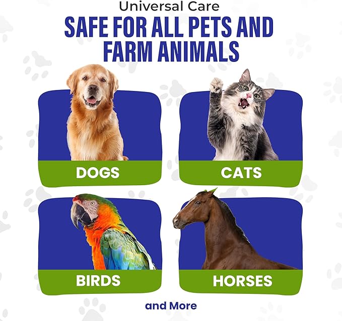 Colloidal Silver for Dogs & Cat Wound Care, Immune Support & Skin Solution - All Pet Health Care for Itch, Sores, Wounds, Hotspots & More with Syringe (32 oz)