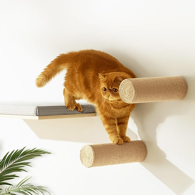 2-Pack Sisal Wall-Mounted Cat Climbing Wall Steps, Cat Wall Steps/Stairs with Sisal Scratching Surface, Wall Shelf Furniture for Climbing & Play for Kittens & Cats, Hidden Mounts