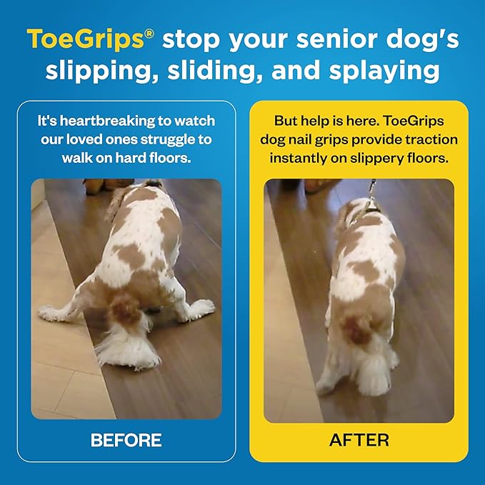 Dr Buzby's Medium ToeGrips for Dogs - Instant Traction on Wood/Hardwood Floors - Anti Slip Relief - Grippers for Senior Dogs - Stop Sliding Instantly - Rubber Nails for Paws - 1 Pack (20 Grips)